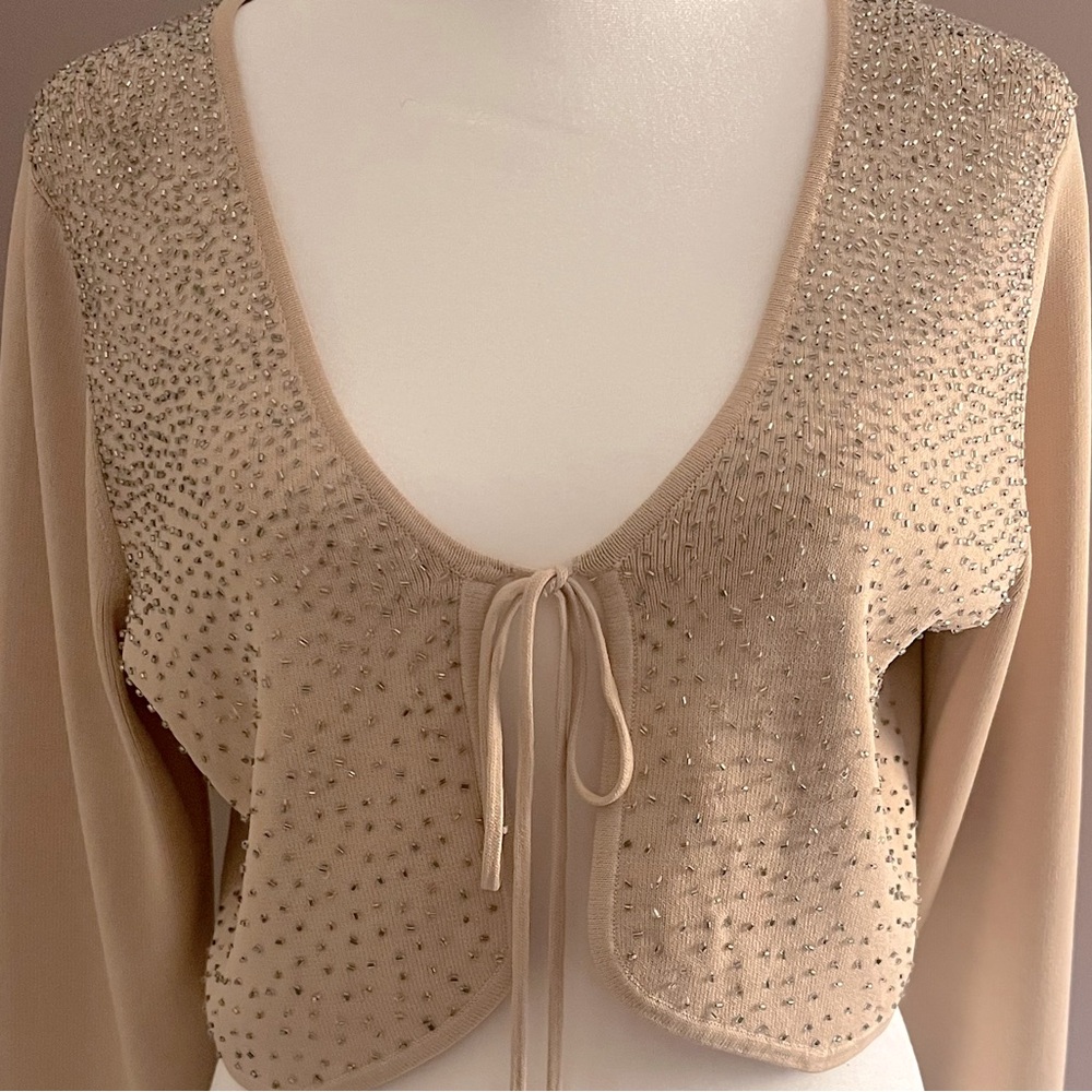 Vertigo crop beaded top with delicate tie front. Perfect over a strapless dress!